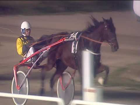 Trotto 20/02/2019 - 7ª corsa - TRIS