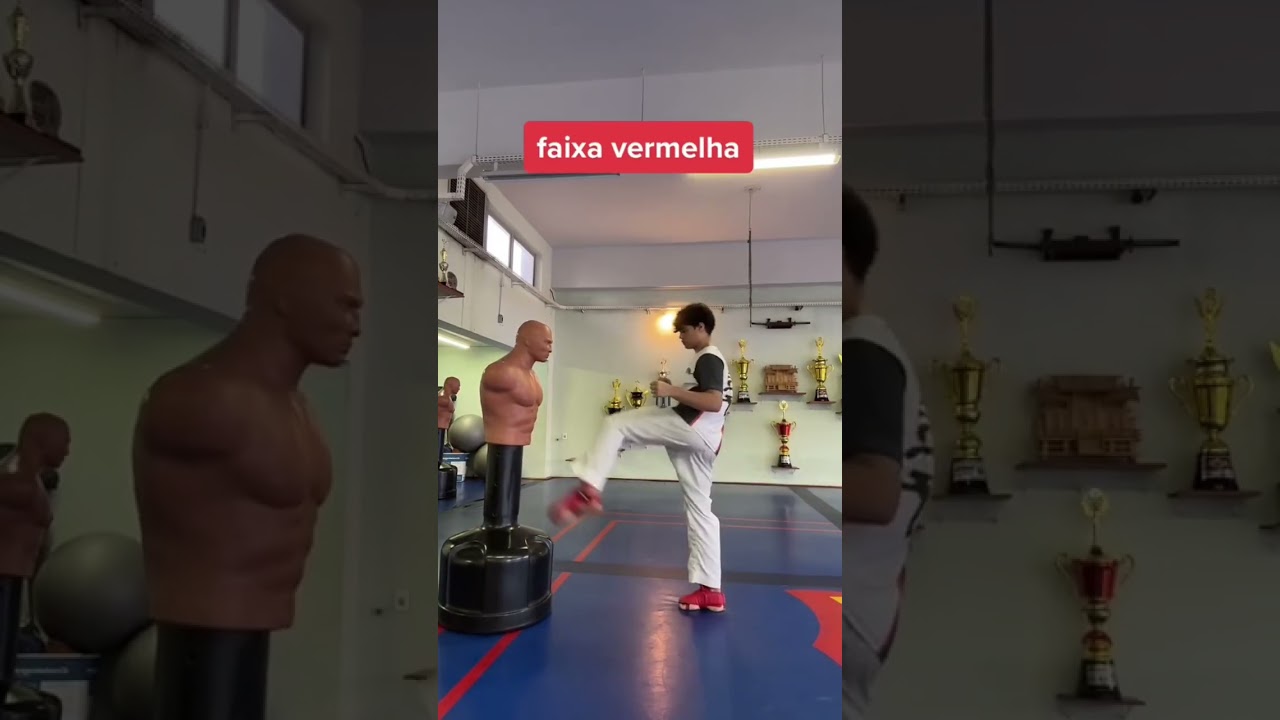qual faixa vc eh (vídeo ilustrativo) #karate