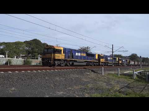 TT115 / TT120 / TT117 with PN loaded coal CA96 - 10/9/21