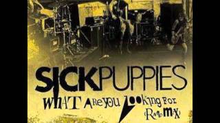 Sick Puppies - What are you looking for? (radio mix)