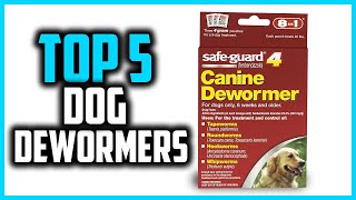 ✅Top 5 Best Dog Dewormers in 2026