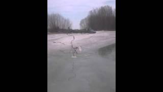 Рыбалка зимой на реке хор