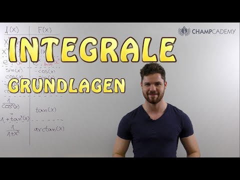 Integralrechnung Grundfunktionen