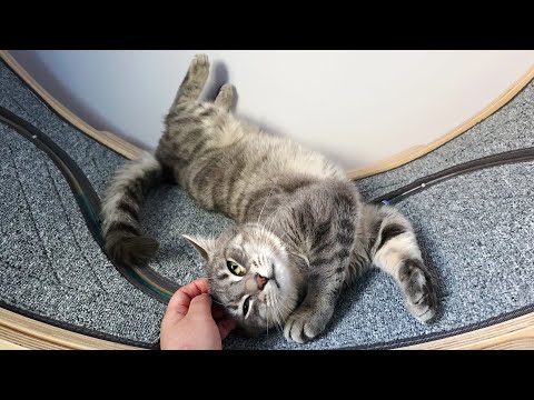 YouTube 썸네일