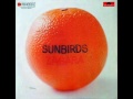 Sunbirds [DEU, Jazz Fusion 1972] Fire Dance