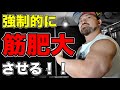 強制的に筋肥大!超きついけど筋肉がデカくなるトレーニングを紹介します