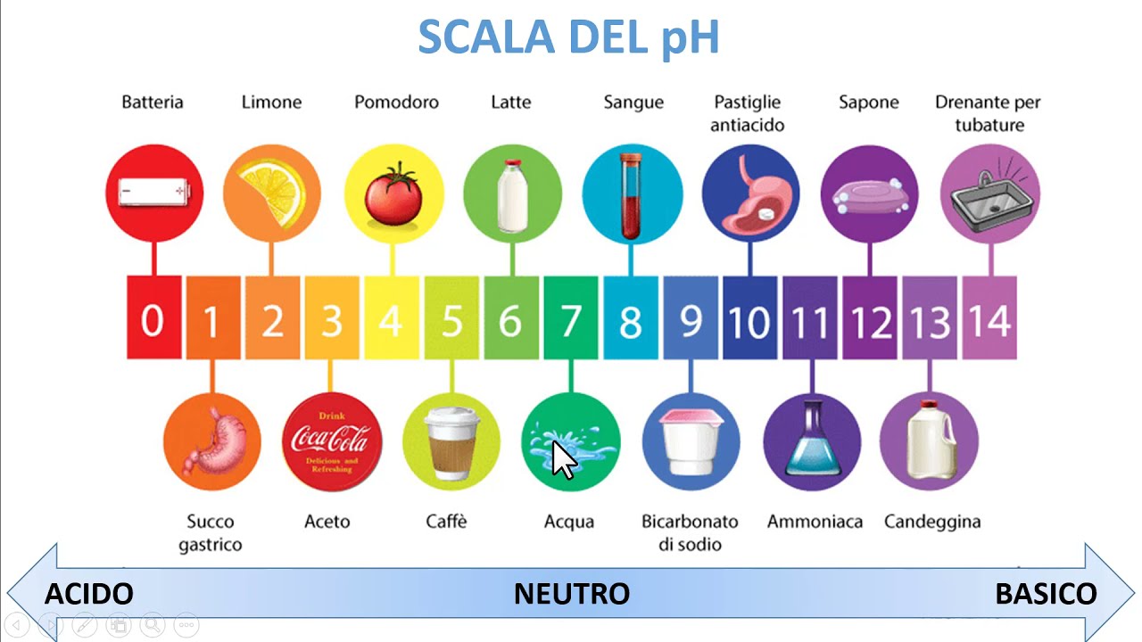 LA SCALA DEL pH E DEL  pOH