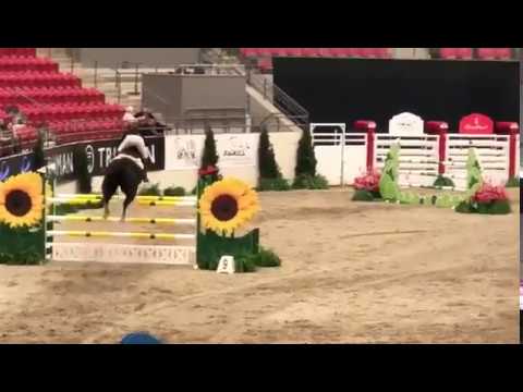 Wellington 1.30 Jump off $10,000 Lavender Eight Grand Prix - Winner