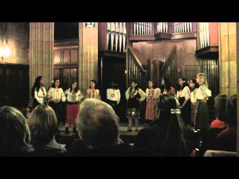 Thumbnail for Bre Petrunko by Head, Concert, Frida