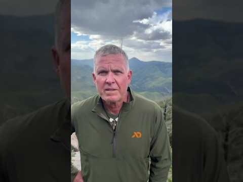 Mike M Testimonial