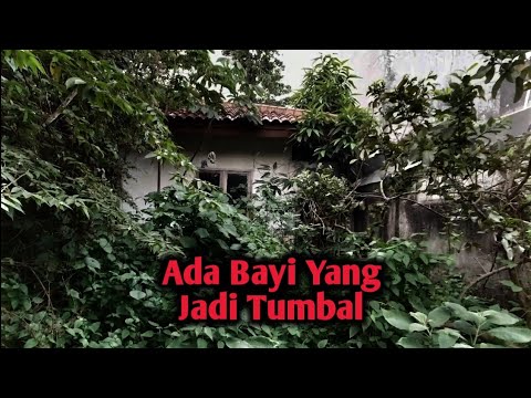 THE MYSTERY OF THE BABY'S CRY IN THE SECT'S HOUSE - View Siang