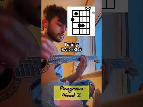 Need - Pinegrove