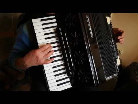 Weltmeister Stella 96 bass LMMH accordion (2)