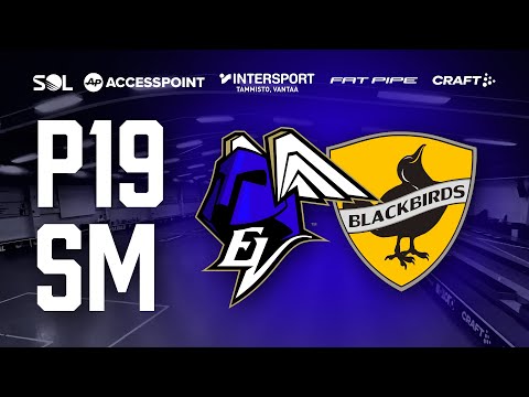 ERÄVIIKINGIT – BLACKBIRDS // P19SM // 7.10.2022 // MOSAHALLI