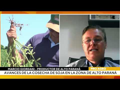 Avanza la cosecha de soja en Alto Paraná