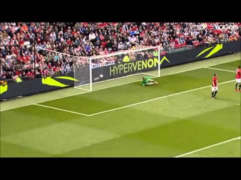 Sebastian Larsson Goal vs Manchester United