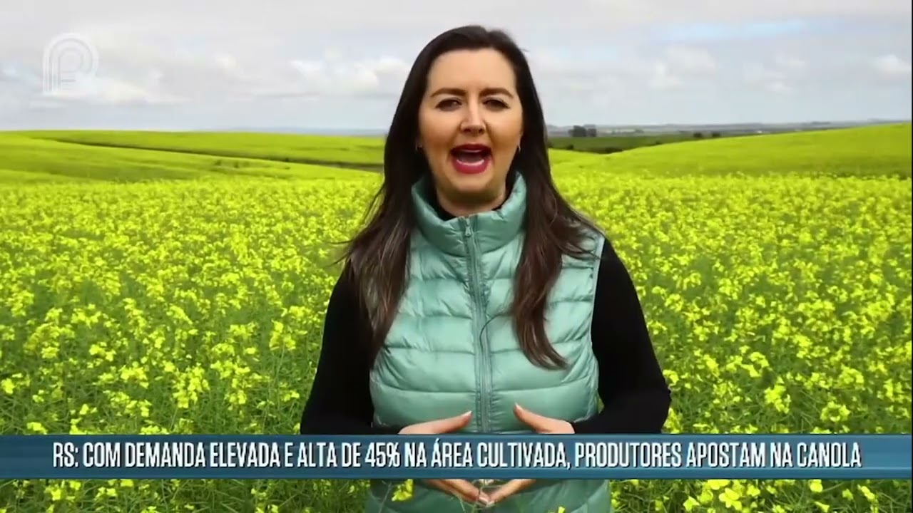 Com demanda aquecida, produtores apostam na canola | Canal Rural