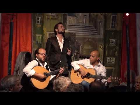 Luís Caeiro - "Trago Fado nos sentidos"