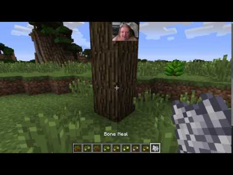 HarvestCraft 1.7.10 Tutorials - Temperate Fruit Trees