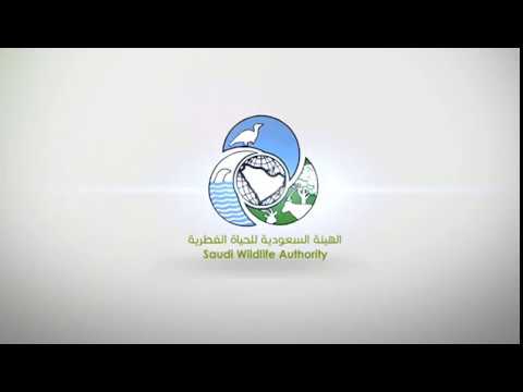 د. محمد العامري يقدم دورة إدارة المشاريع الإحترافية PMP للهيئة السعودية للحياة الفطرية