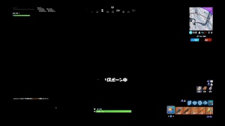 [フォトナ]メリクリわず