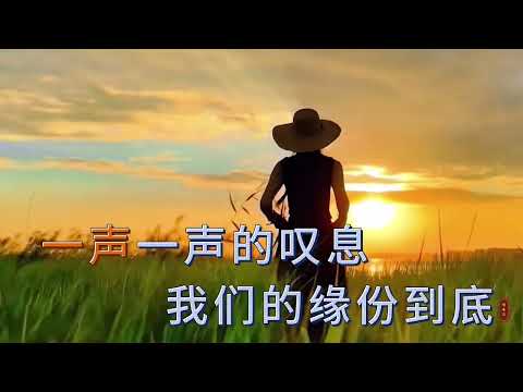 金 钰 双 双 一 首 好 听 歌 曲 《 梦 里 的 你 》 合 唱 版 分 享 给 大 家!