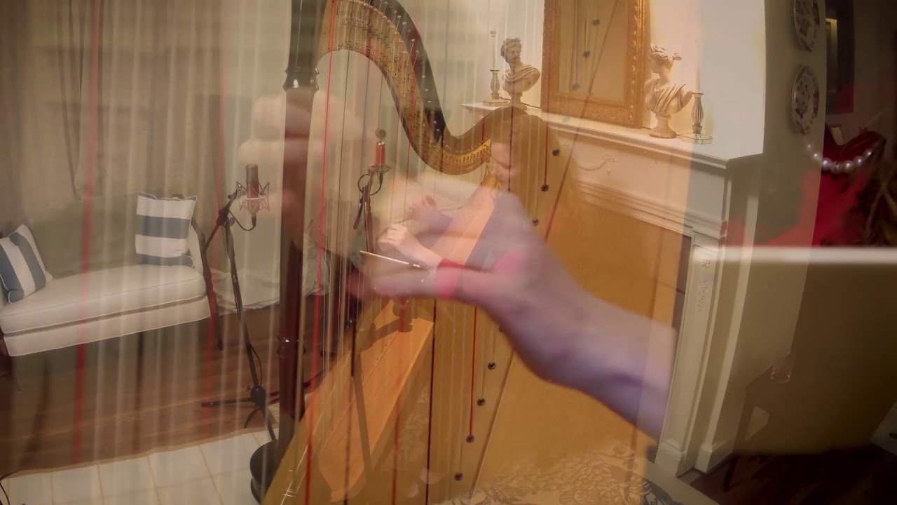 Promotional video thumbnail 2 for Nashville Harp