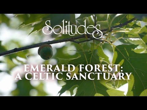 Dan Gibson’s Solitudes - Bonny Portmore | Emerald Forest: A Celtic Sanctuary