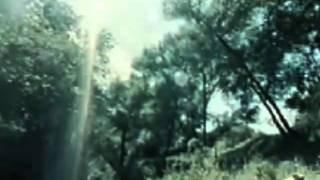 Woo - It&#39;s Love (1990)