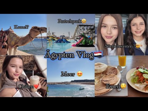 Egypt Vlog 🇪🇬