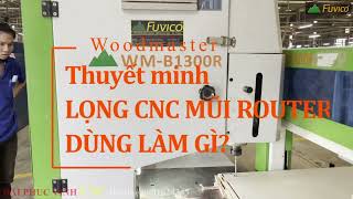 Thuyết minh MÁY CƯA LỌNG CNC ROUTER 1300MM WOODMASTER WM-B1300R.