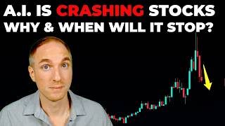 AI Stocks are CRASHING - Why & When Will It STOP?