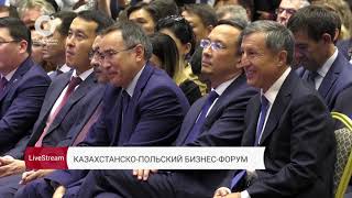 Казахстанско-Польский бизнес-форум / Қазақстан-Польша бизнес-форумы (3 часть)