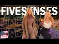 Top 5 Ranked Prettiest American Teen Pstars Of 2025 You Ll Be Surprised