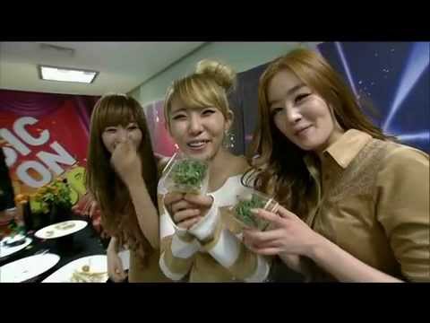 secret and girl's day 111208