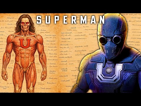 Ultraman Anatomy Explored – Why Even Superman Is Scared Of Ultraman? Is He Really More Powerful?