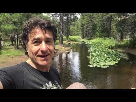 Welcome to a secluded and secret meadow in Mount Shasta #mountshasta #mtshasta #ascension #sacred