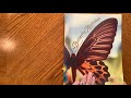 Monday May 11 Ending Circle The Butterfly Alphabet
