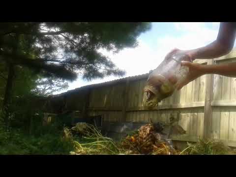 Turning the compost pile and knocking out my "honey-do" list