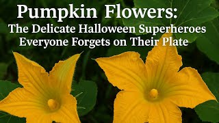 Tiny, Tender, and Surprisingly Mighty: The Secret Superpowers of Pumpkin Flowers