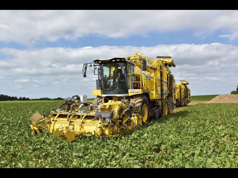 LIVE OME TV GADANIE Z TEAM SMERFO  #OME TV #VOLTBANICJA #PASZA TV #TANAS