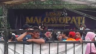 lala widi konco turu new pallapa live mlawat sukolilo pati