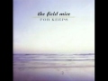 The Field Mice - Tilting at Windmills