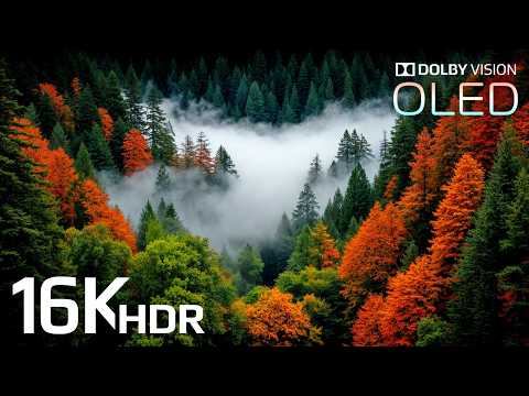 Most Stunning 16K HDR VIDEO Yet - Dolby Vision 60fps for 4K / 8K TVs