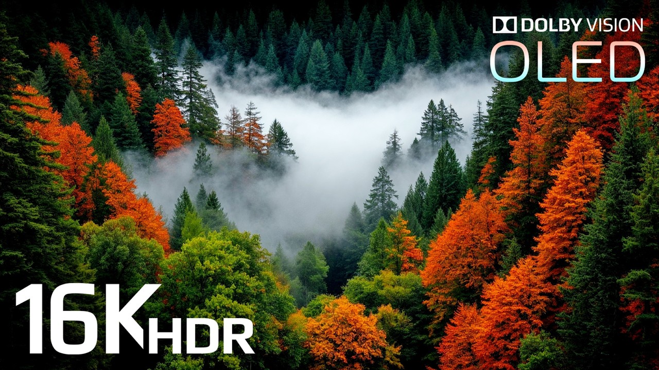 Most Stunning 16K HDR VIDEO Yet - Dolby Vision 60fps for 4K / 8K TVs