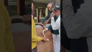 सांप के पेट में पॉलिथीन। स्टील की जाली में फंसा था भुजंग। #snake at risk,#pahlidafaa