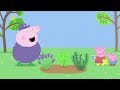 Peppa Pig Perfume English Full Episodes Compilation 20
