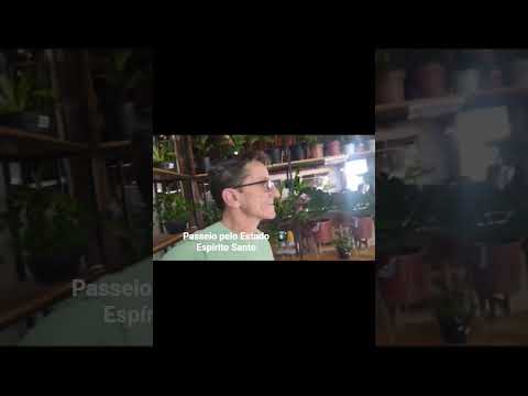 PASSEIO PELO ESTADO DO ESPIRITO SANTO   8 de outubro de 2025