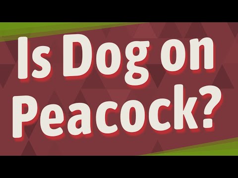 YouTube video about: Will the movie dog be on peacock?