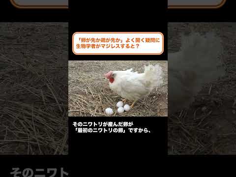 鶏が卵を食べる 羽が抜けないようにする方法